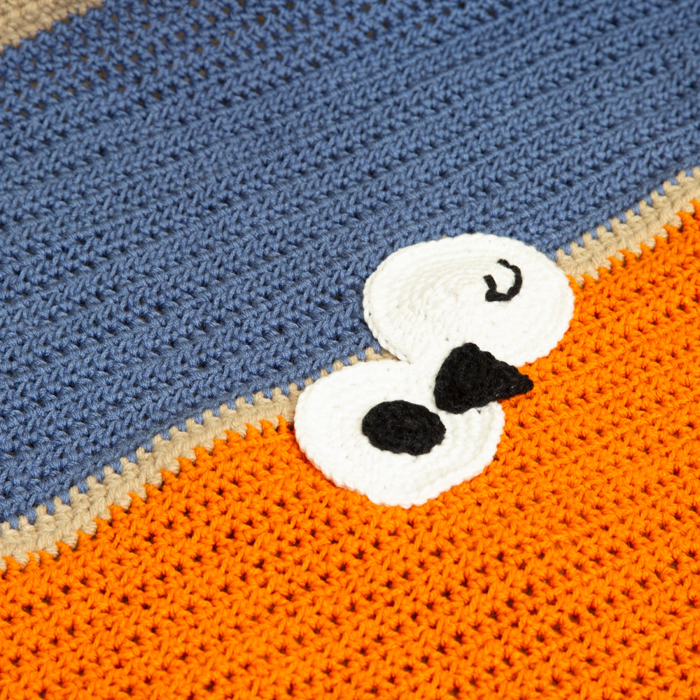 Aguascalientes Crochet Baby Blanket