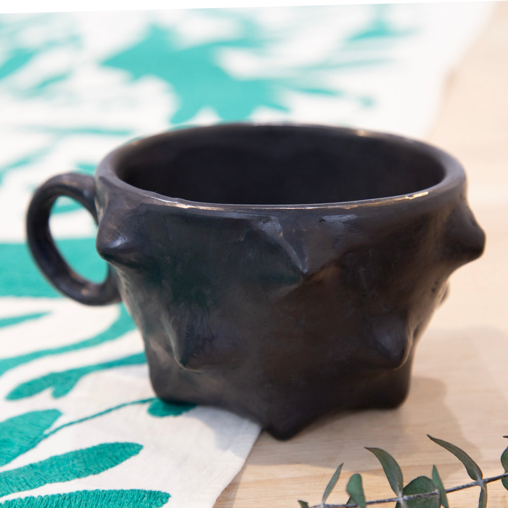 Barro Negro, Black Clay, Pochote Mug