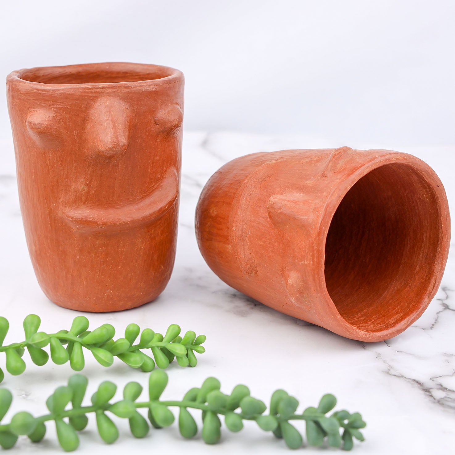 terracotta face plant pots Red Clay Terracotta Face Tumbler