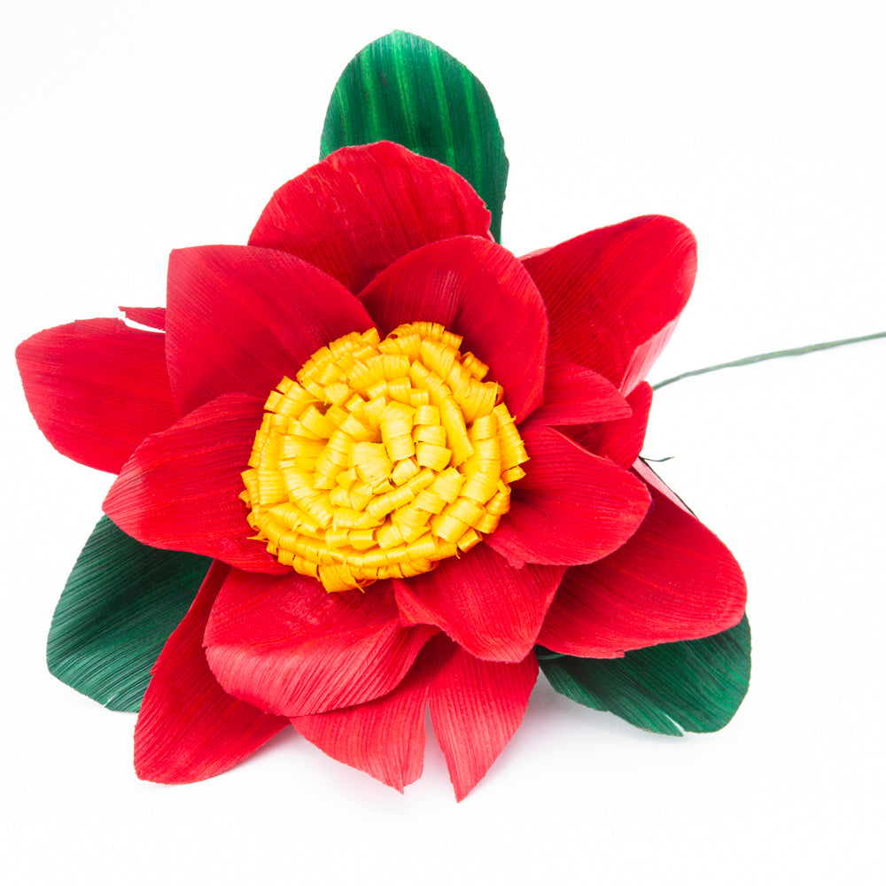 Totomoxtle Nochebuena Cornhusk Flower