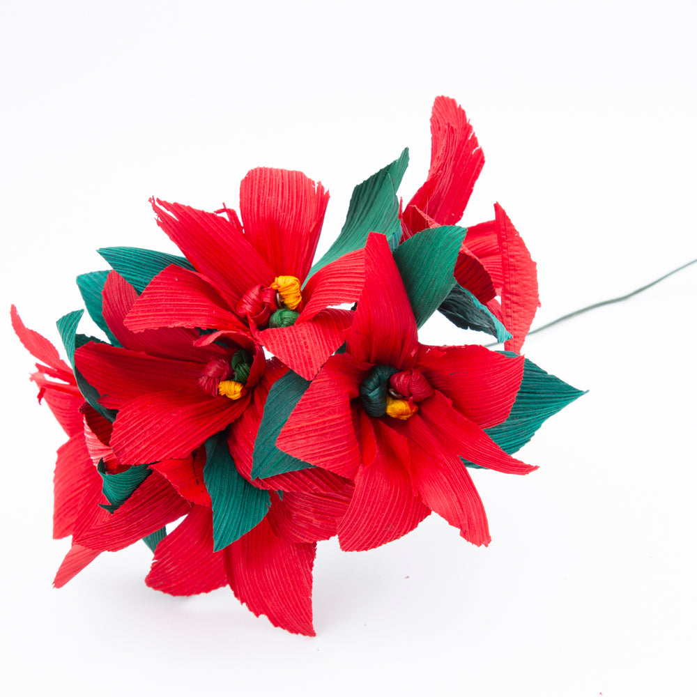 Totomoxtle Nochebuena Flower Bouquet