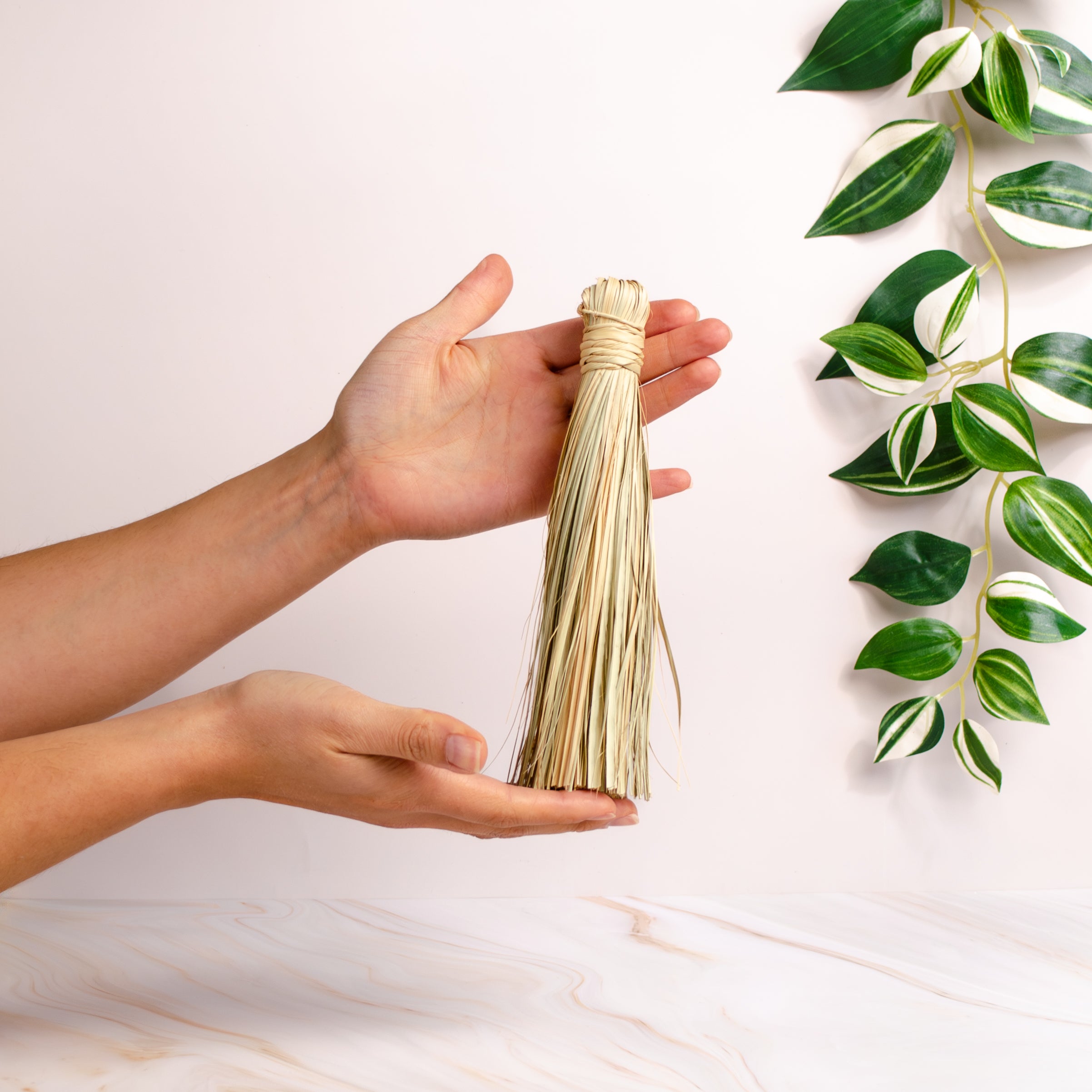 Escobitas Natural Palm Handheld Brooms