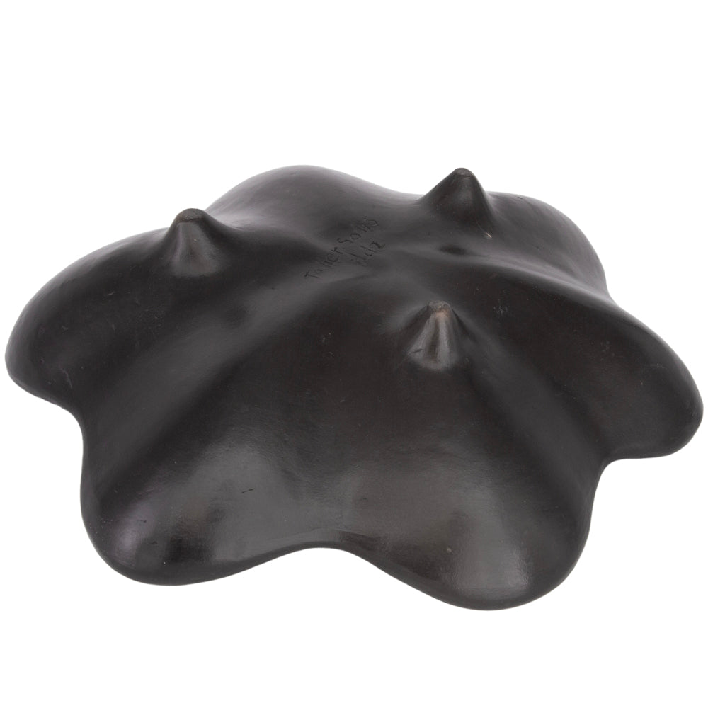 Zinapécuaro Dotted Estrella Ceramic Bowl