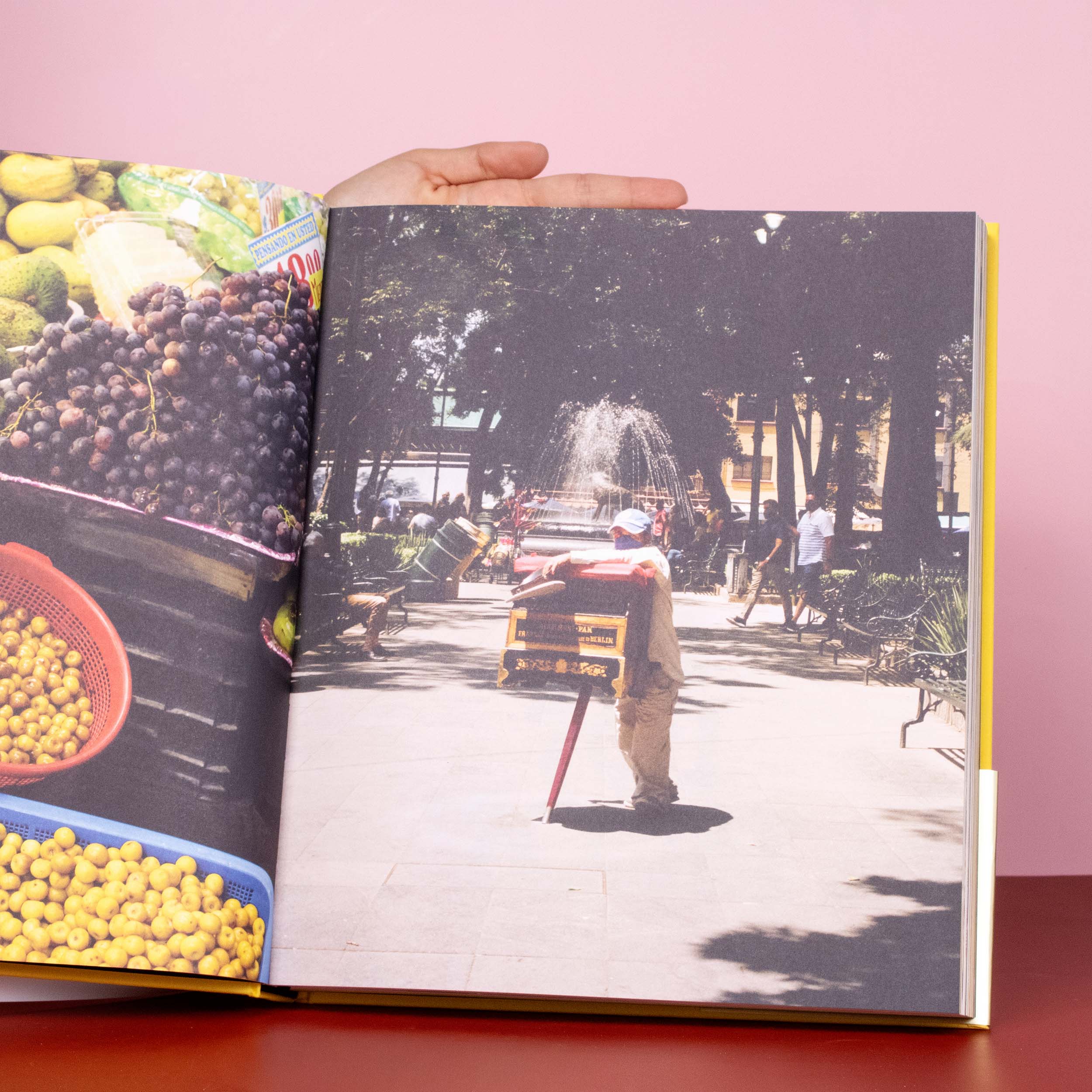 Tacos CDMX Book