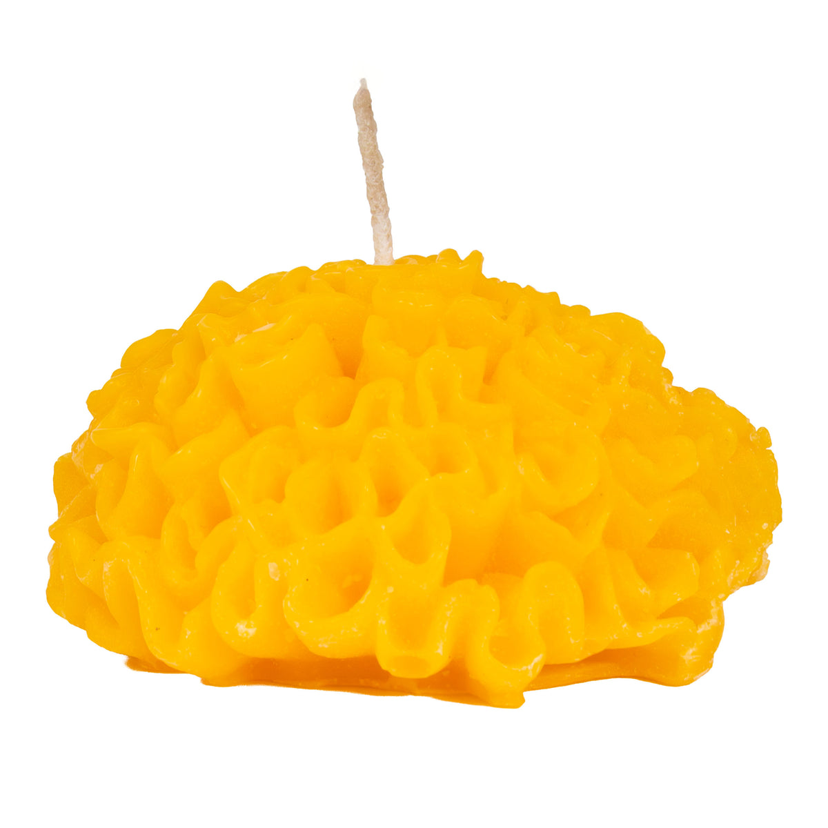 Cempasuchil Candle