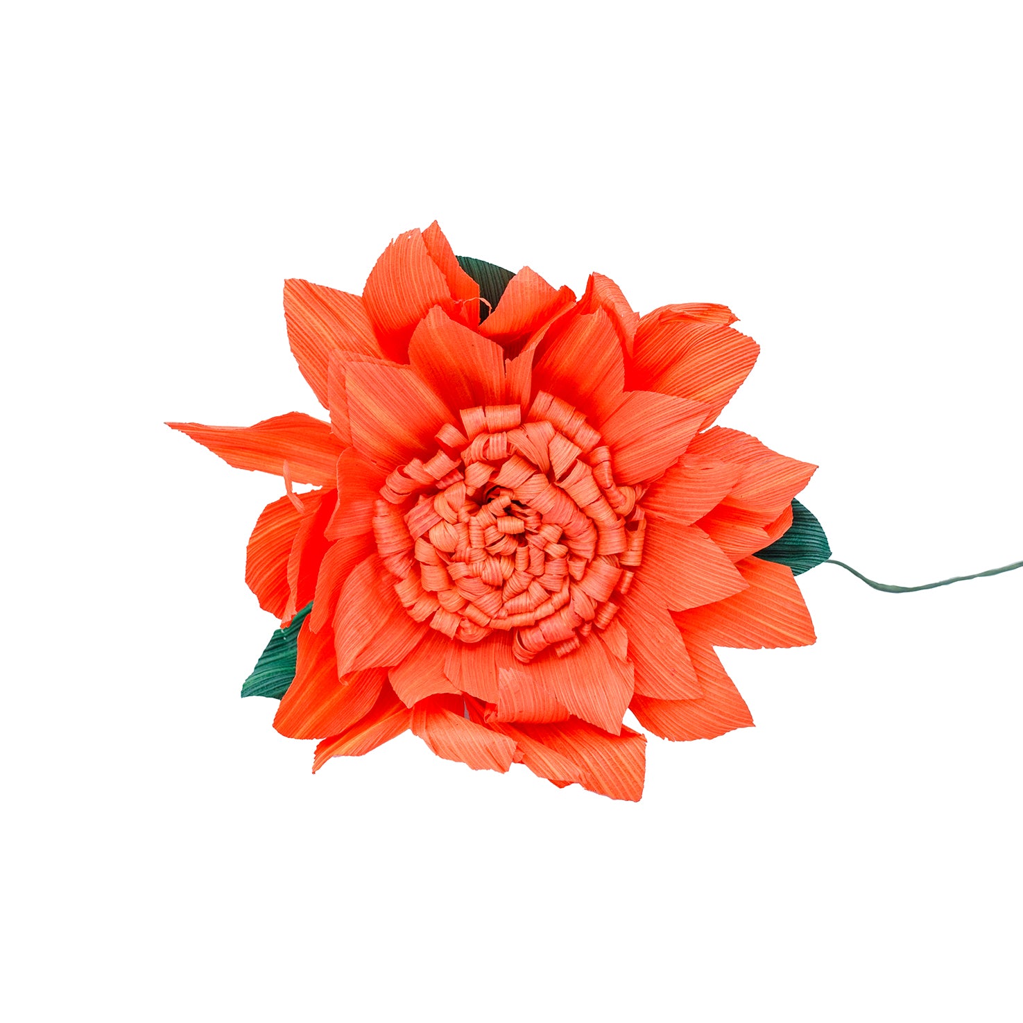 Totomoxtle Cornhusk Colorful Flower