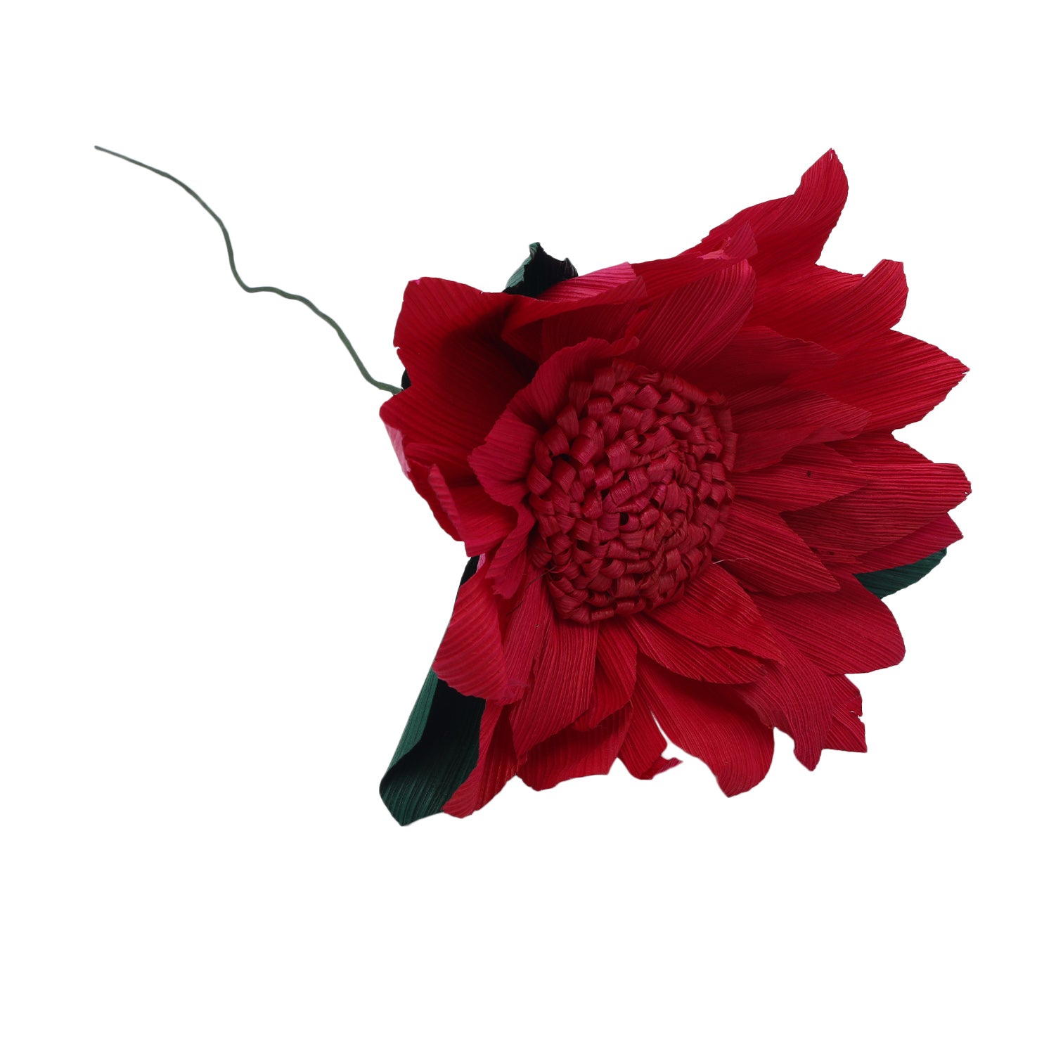 Totomoxtle Cornhusk Colorful Flower