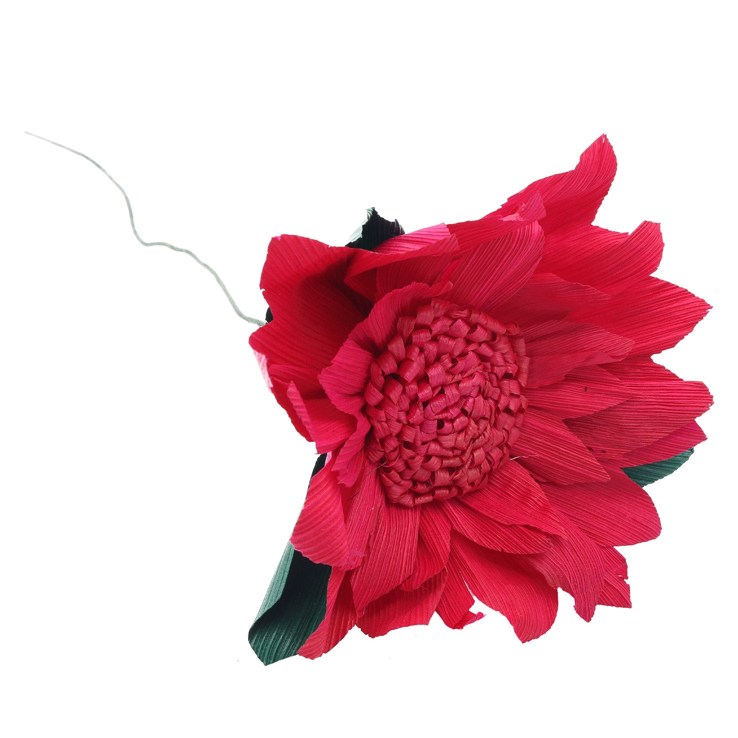 Totomoxtle Cornhusk Colorful Flower