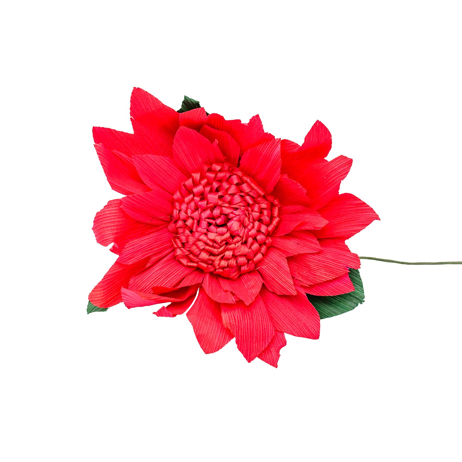 Totomoxtle Cornhusk Colorful Flower
