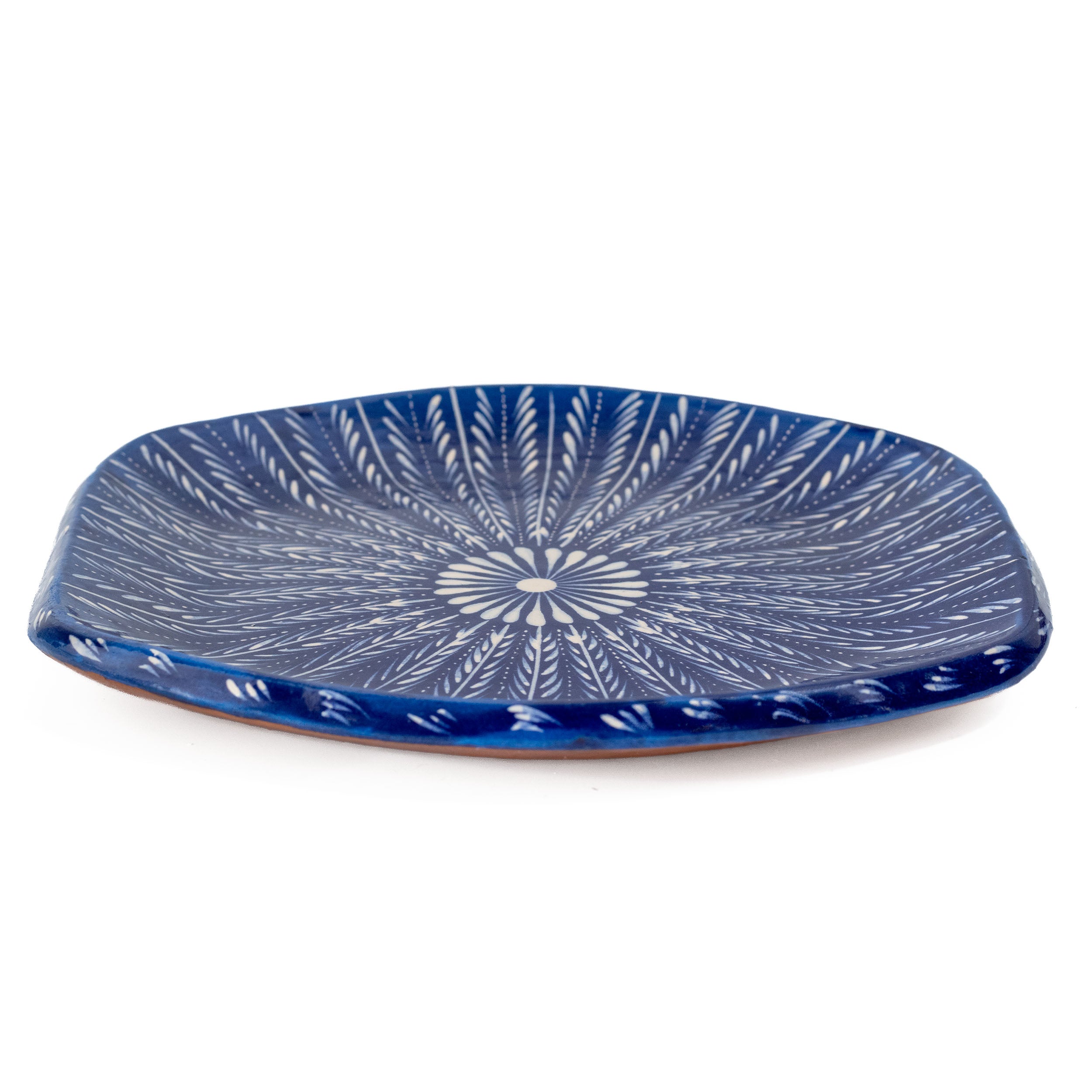 Feathered Mandala Capula Hexagonal Plate