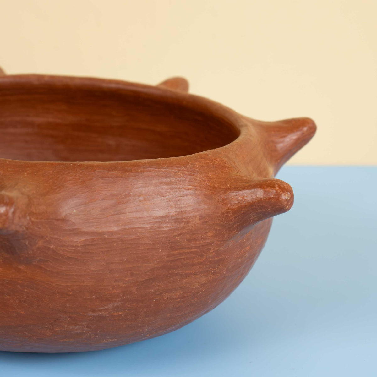 Barro Rojo Spikes Bowl