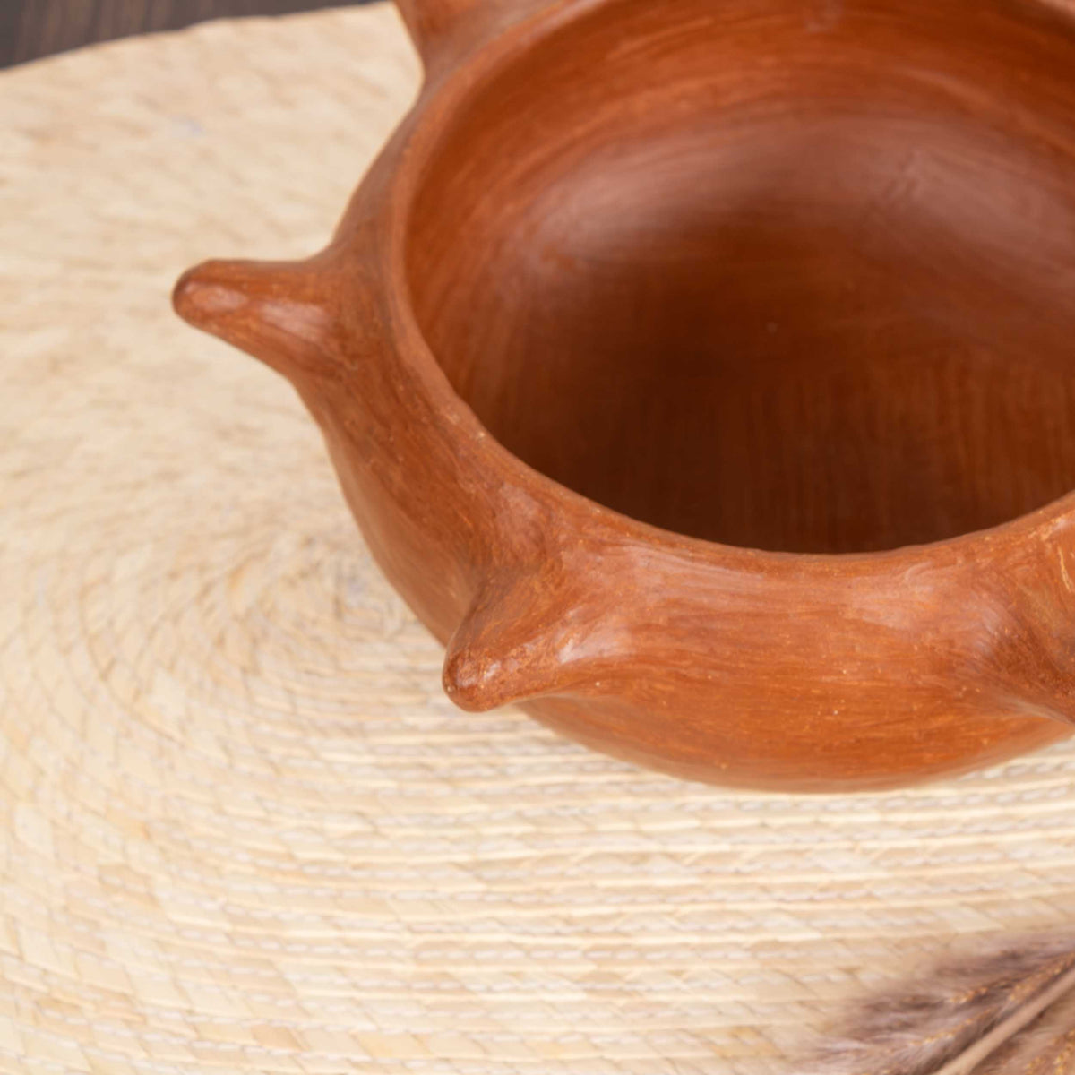 Barro Rojo Spikes Bowl