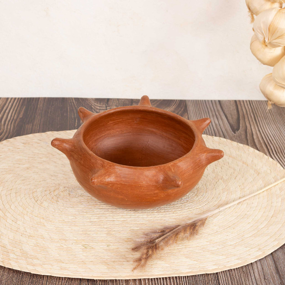 Barro Rojo Spikes Bowl
