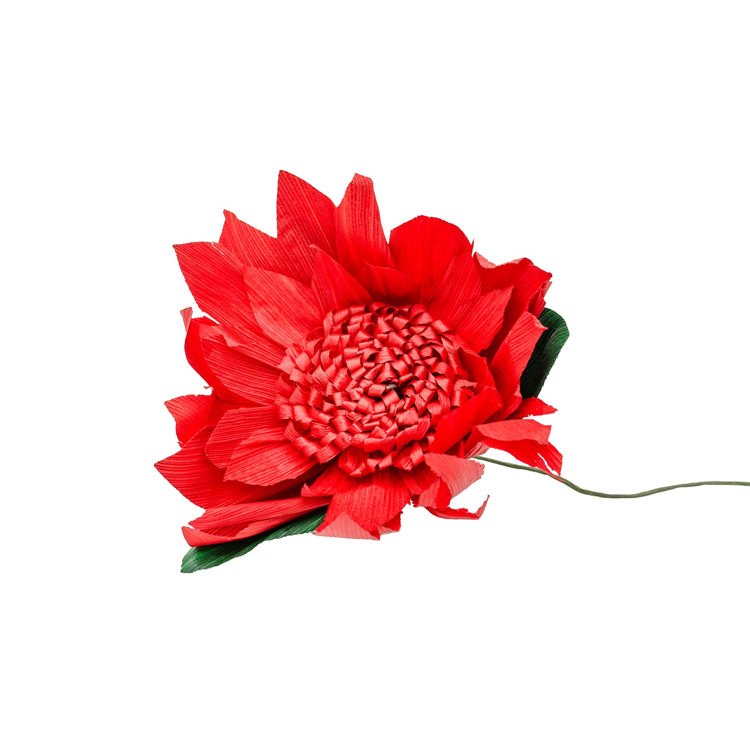 Totomoxtle Cornhusk Colorful Flower