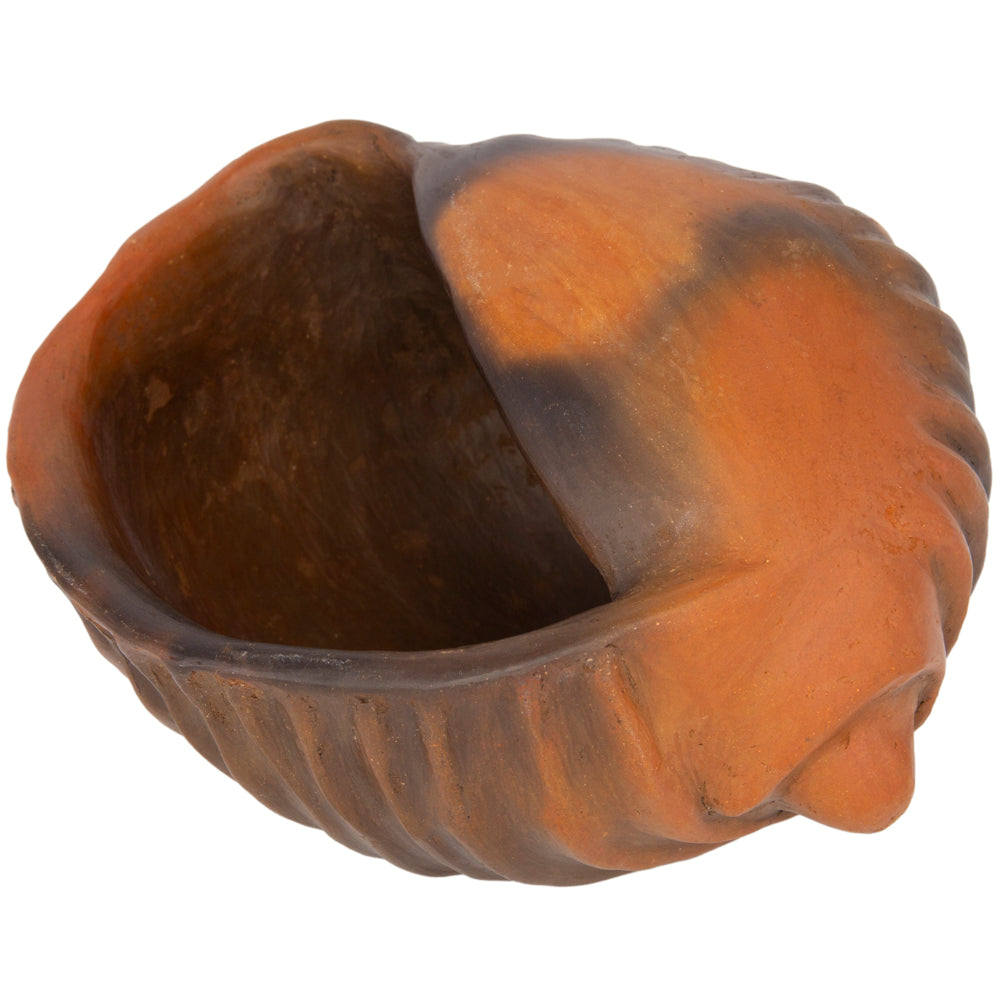 Santa Cruz Cachán Caracol Seashell Clay Sculpture