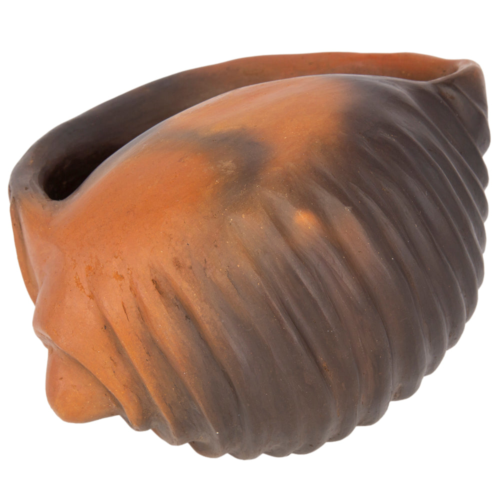 Santa Cruz Cachán Caracol Seashell Clay Sculpture