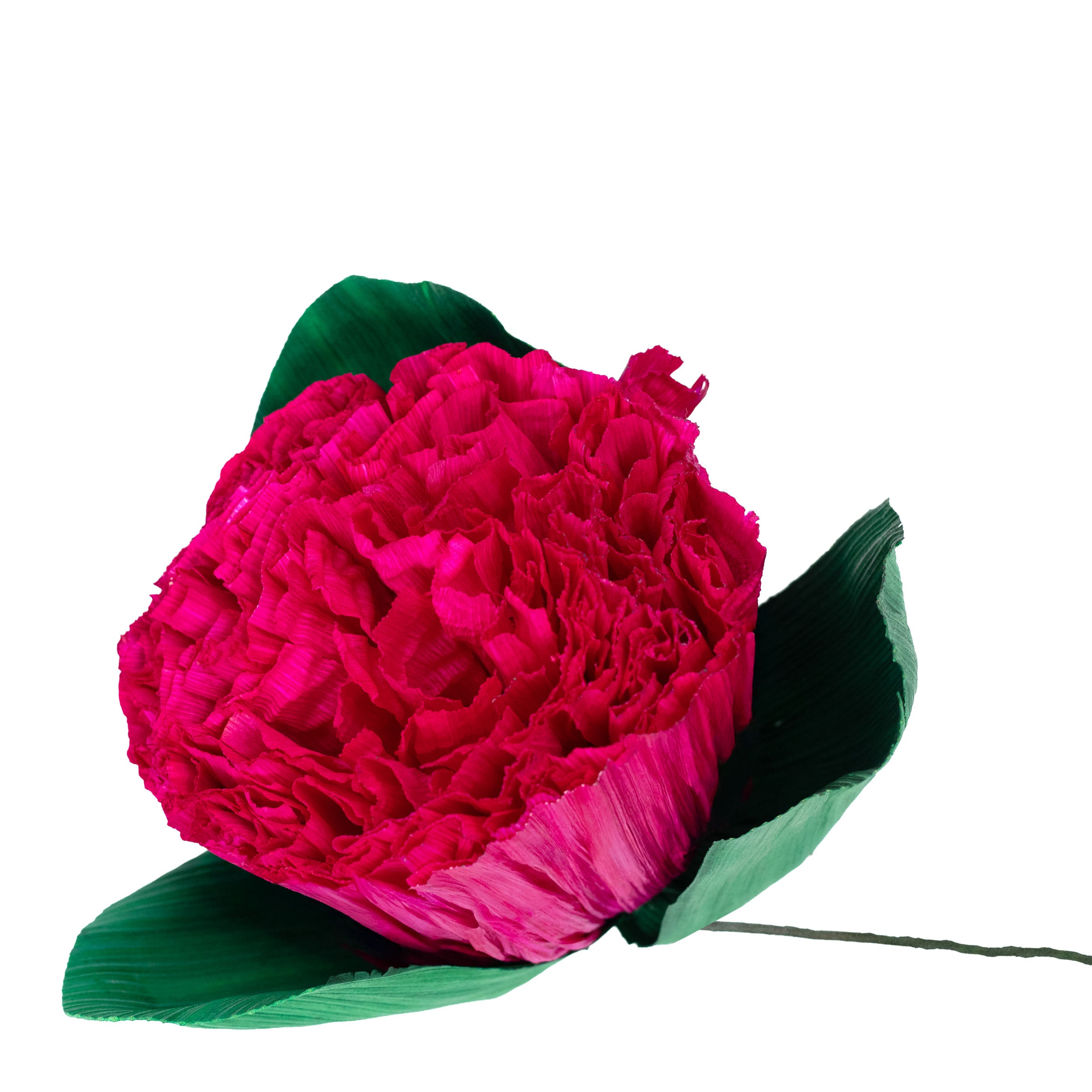 Totomoxtle Cornhusk Carnation Flower