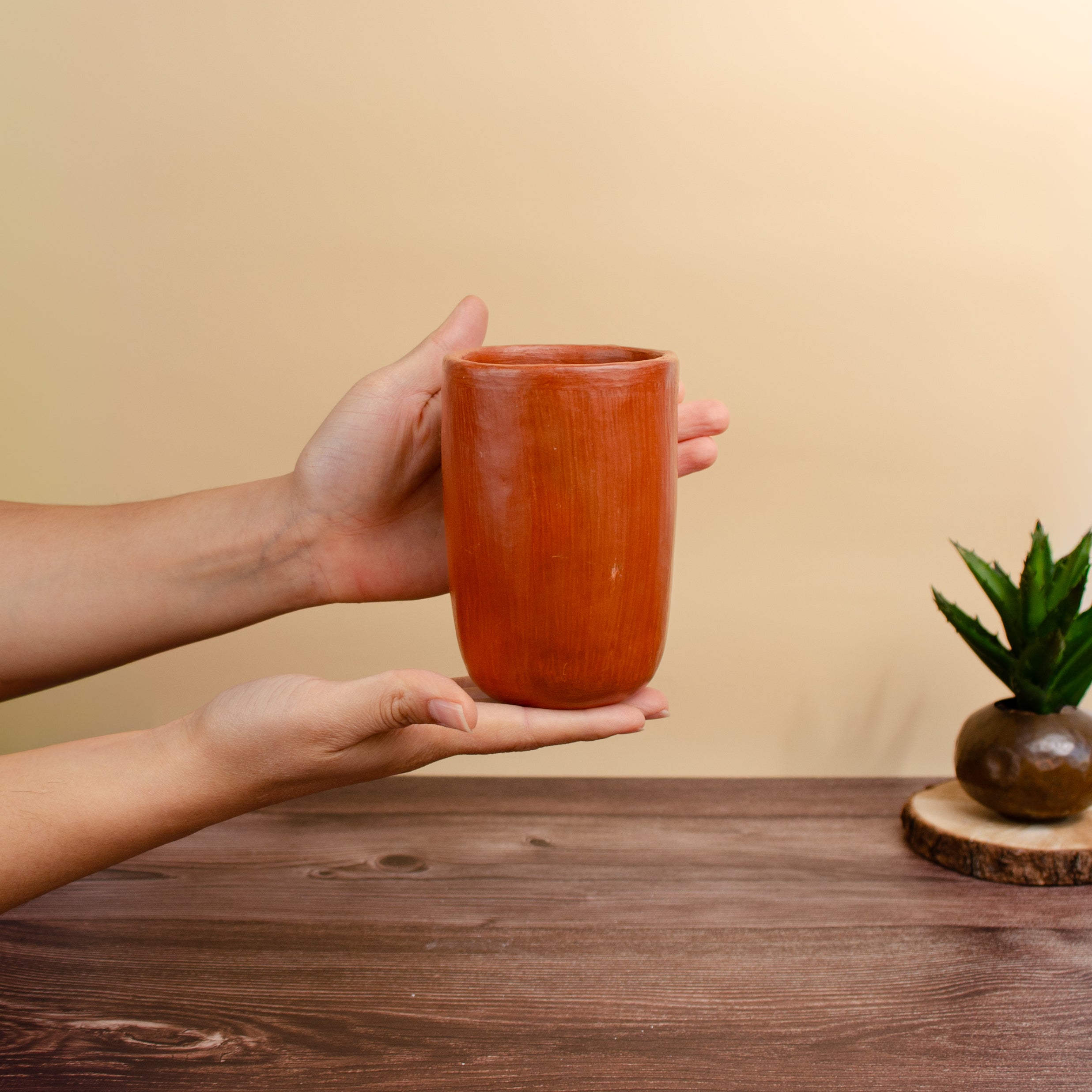 Red Clay Terracotta Tumbler