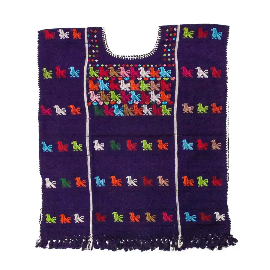 Trenzado Huipil de Telar Blouse