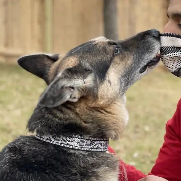 Telar Woven Zapoteca Face Mask and Dog Collar Matching Set