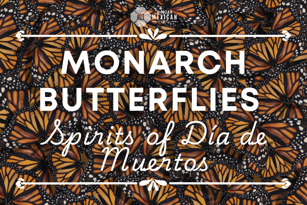 Monarch Butterflies, Spirits of Día de Muertos