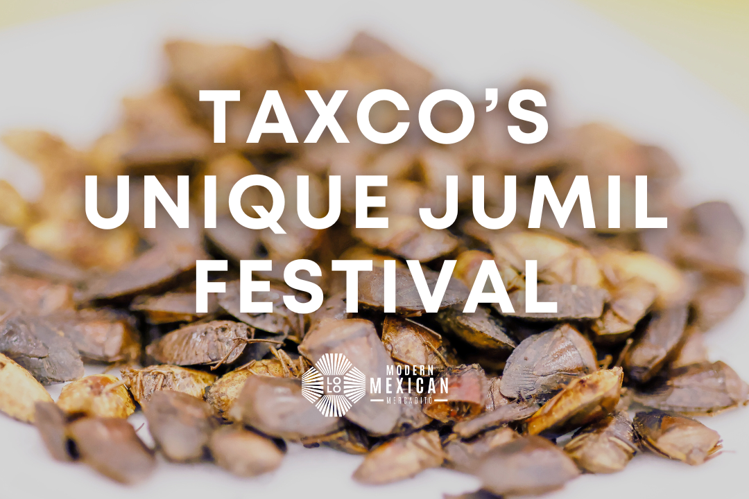 Taxco’s Unique Jumil Festival