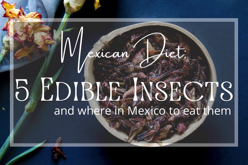 5 Insects that are eaten in Mexico!