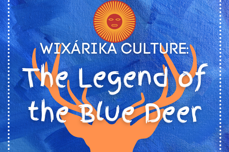 Wixárika Culture: The Legend of the Blue Deer