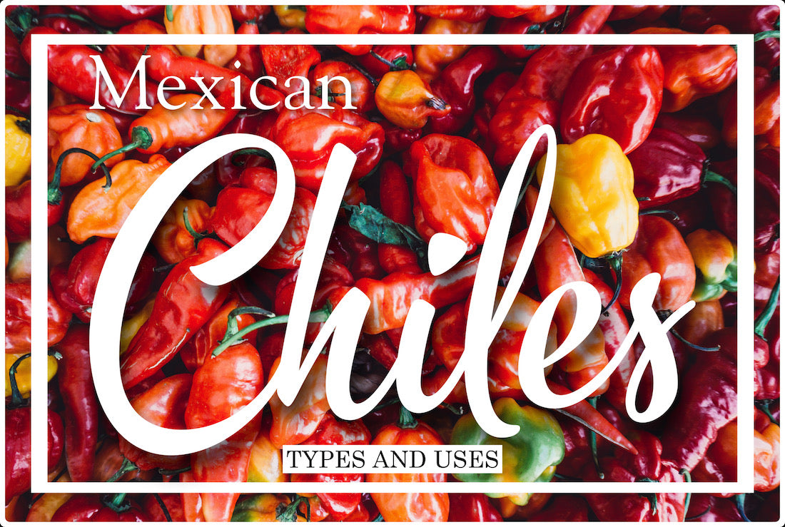 Mexican Chiles: Types and Uses