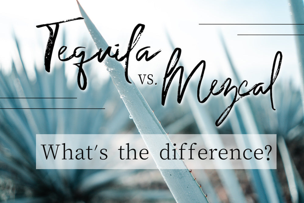 Tequila Vs. Mezcal, What's the Difference?