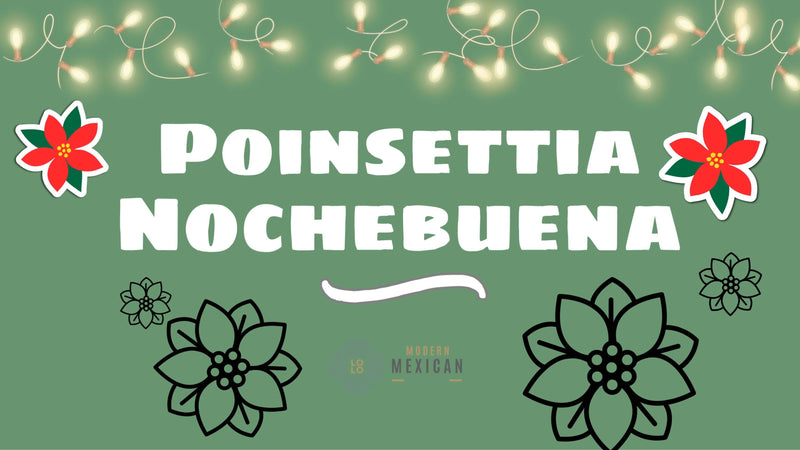 Highlighting the Beautiful Poinsettia, or Nochebuena, Flower
