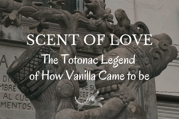 Scent of Love: The Totonac Leyend of How Vanilla Came to be