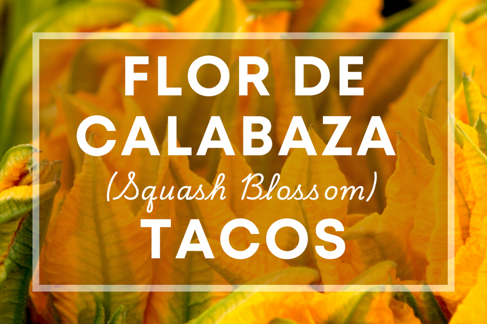 Flor de Calabaza (Squash Blossom) Tacos