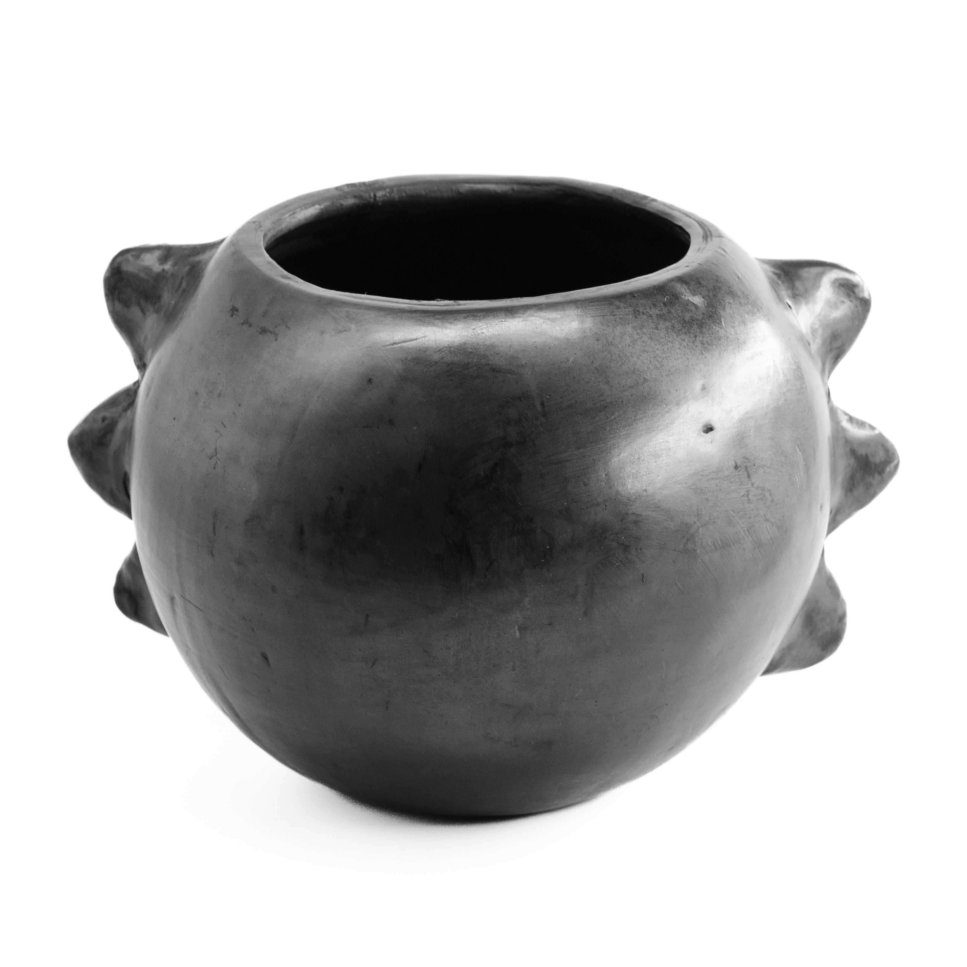 Barro Negro Axolotl Planter