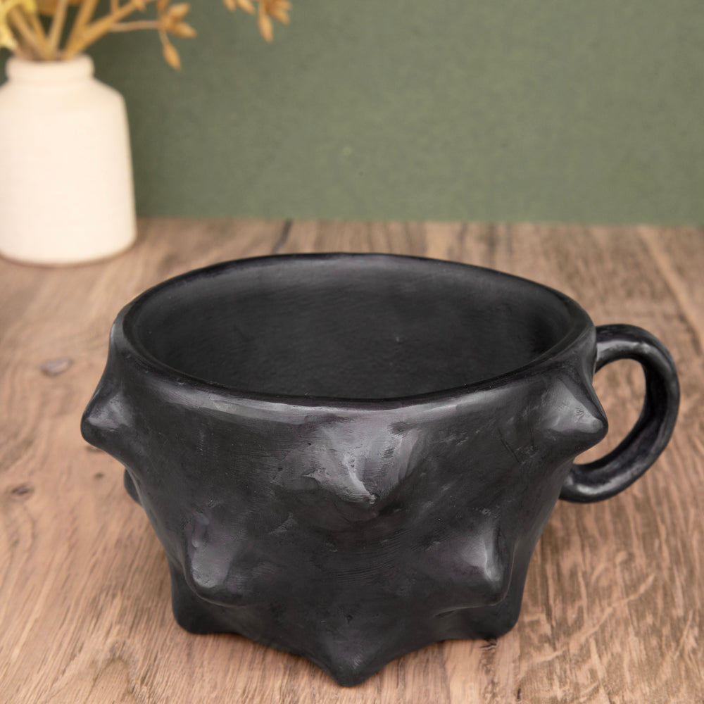 Barro Negro, Black Clay, Pochote Mug