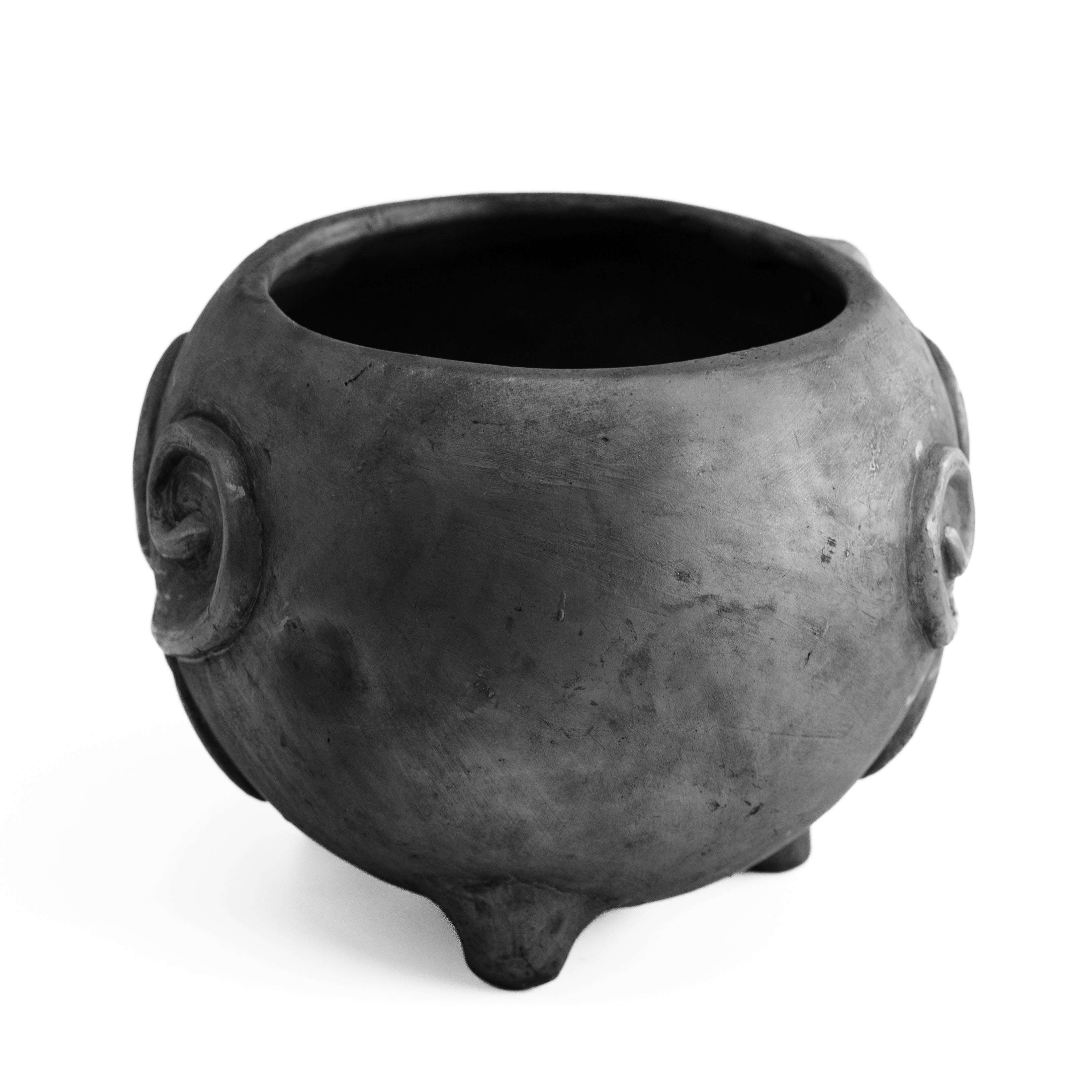 Barro Negro Cochinito Planter with Flowers