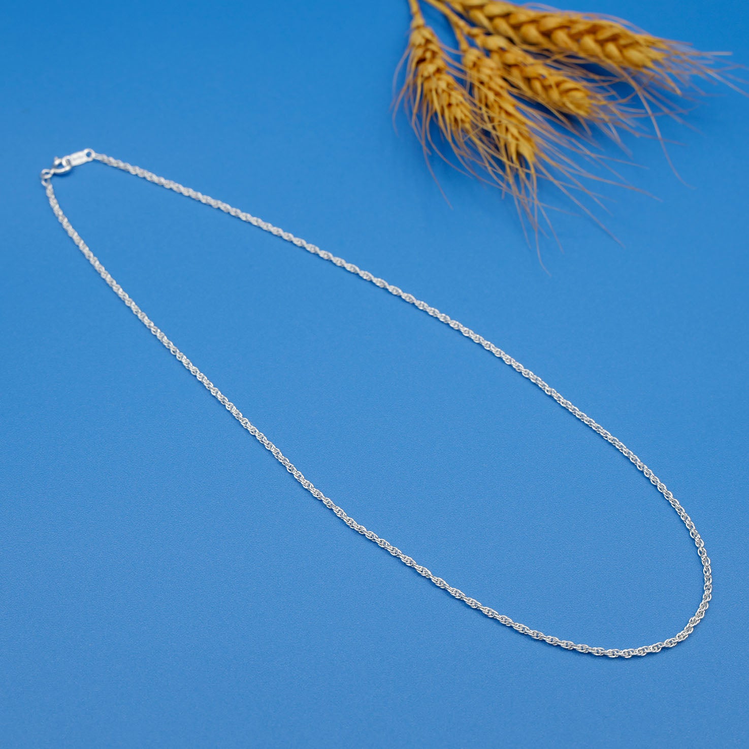 Sterling Silver Twisted Rope Chain Necklace