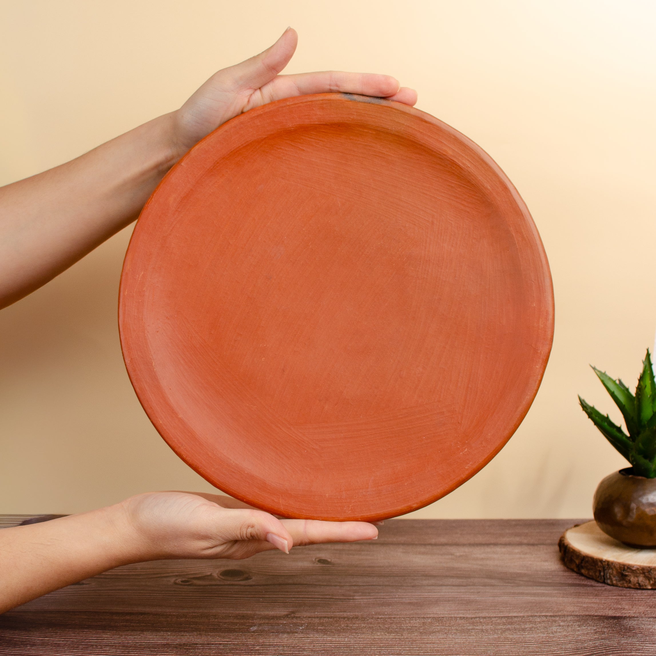 Red Clay Terracotta Dinner Plate