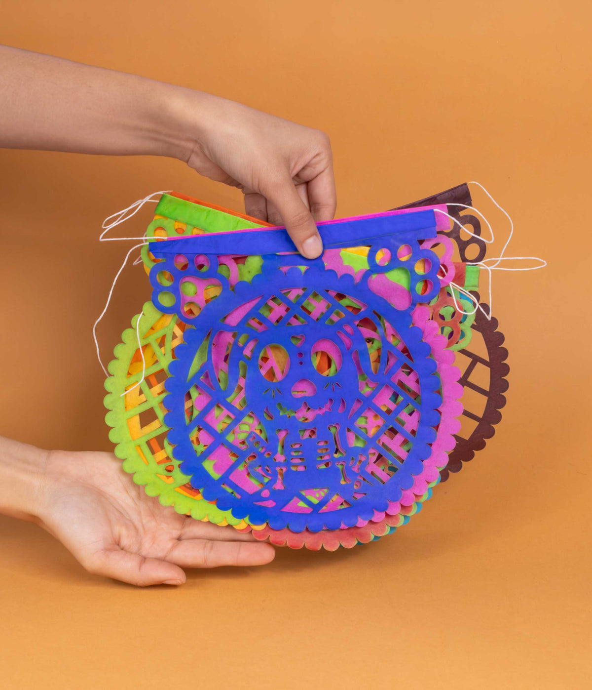 Papel Picado Rounded Dia de Muertos Dogs and Cats Banner