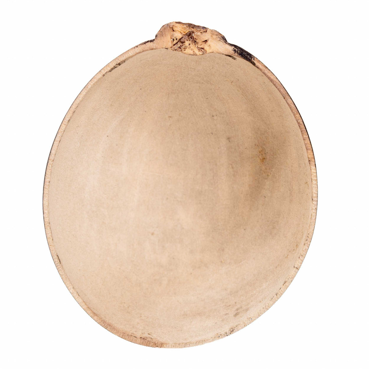 Día de Muertos Hand-Carved Mezcal Gourd, or Jícara with Natural Base