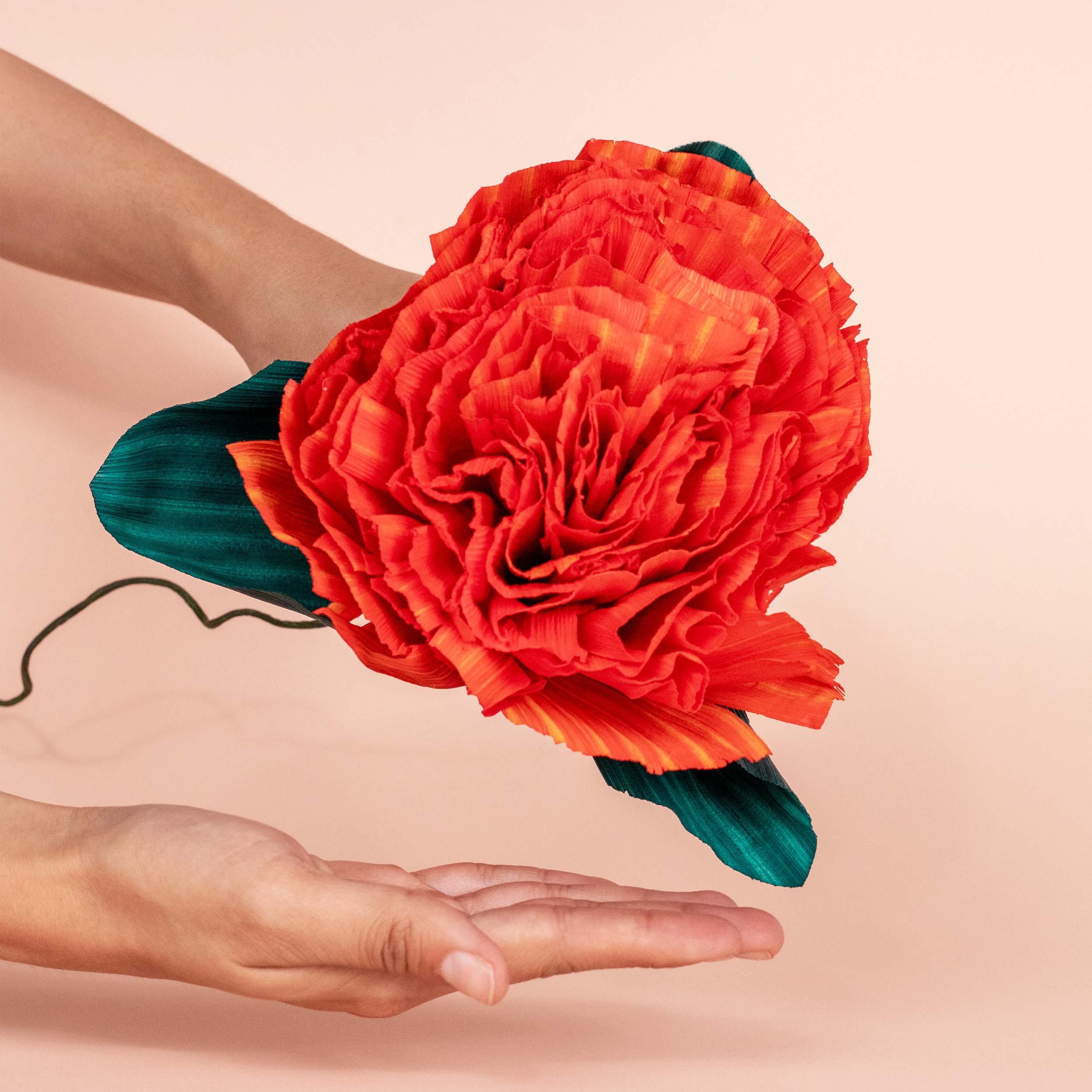 Totomoxtle Cornhusk Carnation Flower