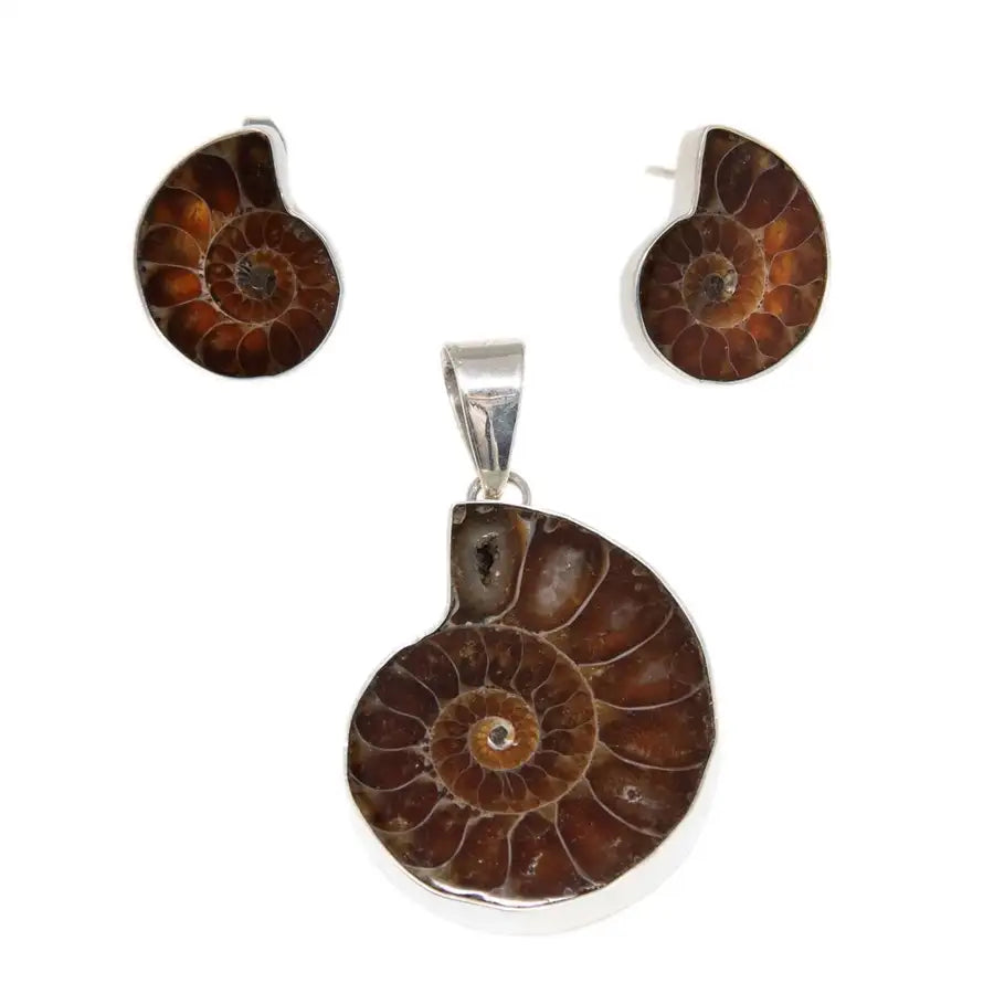 Sterling Silver Ammonite Shell Earrings and Pendant Set - 1